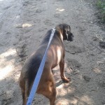 Fred