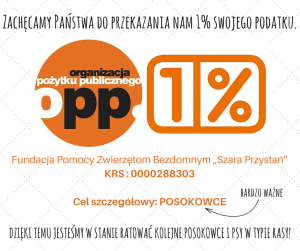 jeden procent