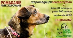 kupowanie