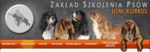 korkus