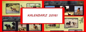 kalendarz