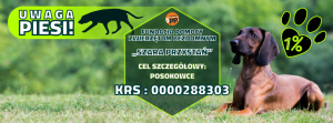 banner na zdjęcie w tle
