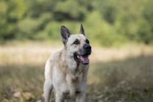 Fot. Karolina Różyc